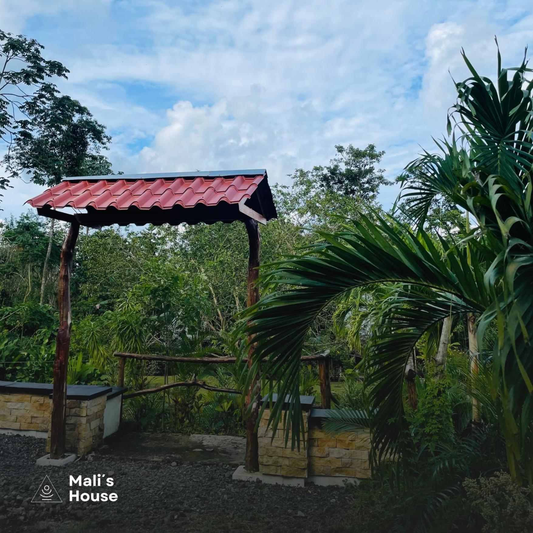 Mali'S House Hotel La Fortuna ภายนอก รูปภาพ