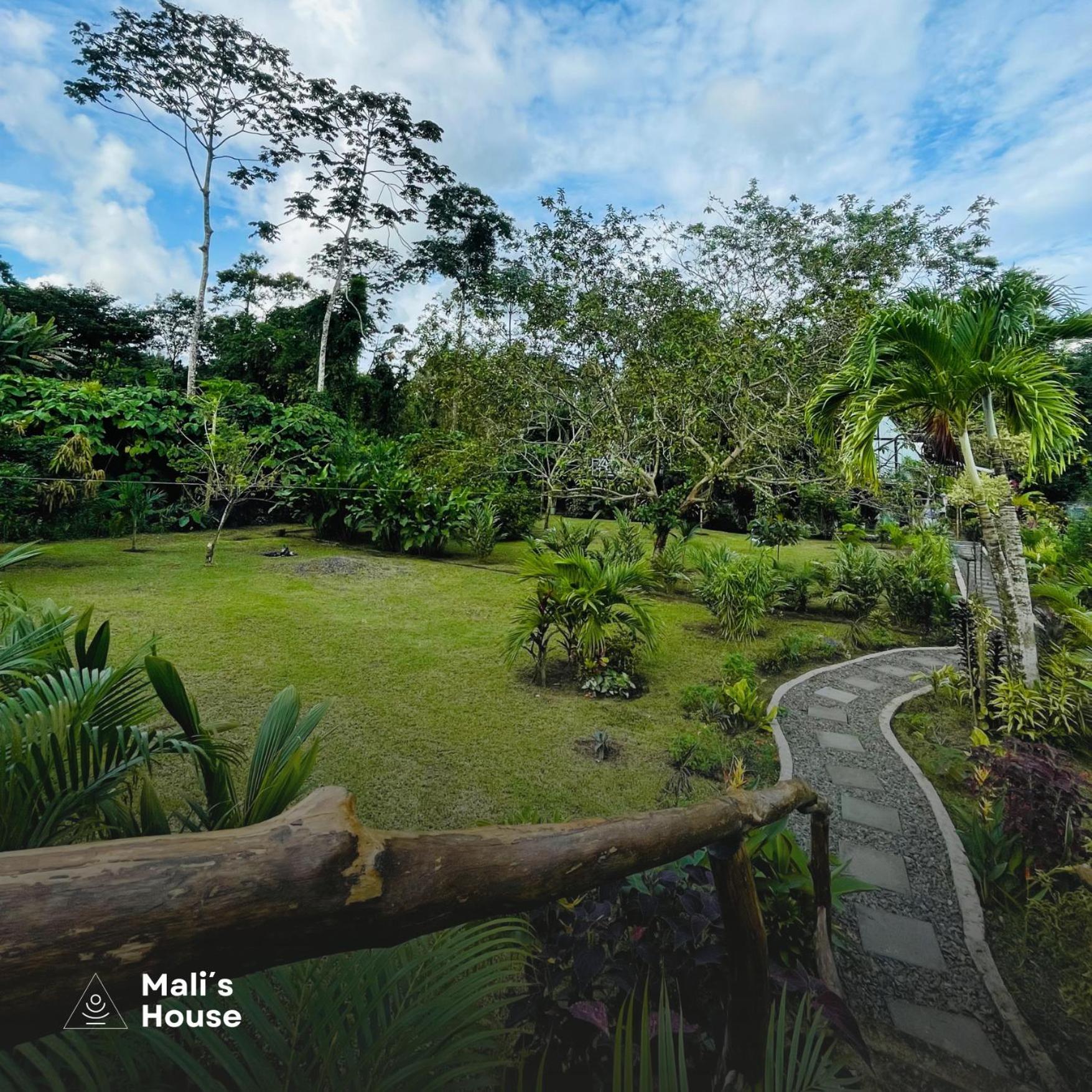 Mali'S House Hotel La Fortuna ภายนอก รูปภาพ